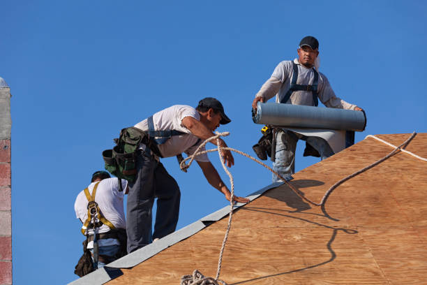 Best Roof Gutter Cleaning  in Ridgecrest, CA